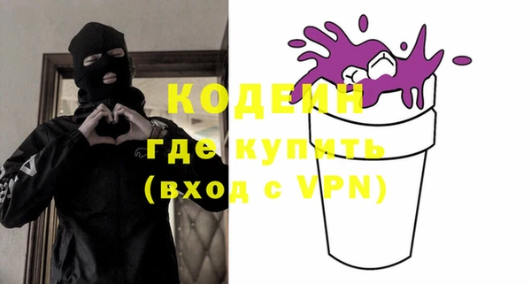 хмурый Нея