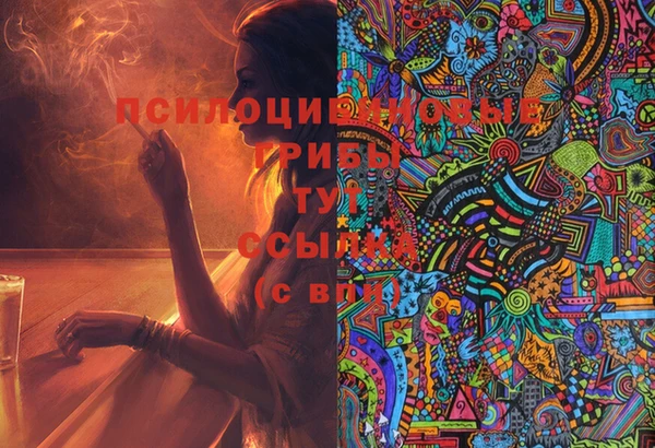 хмурый Нея