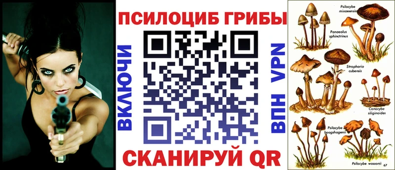 где найти Хилок Псилоцибиновые грибы MAGIC MUSHROOMS